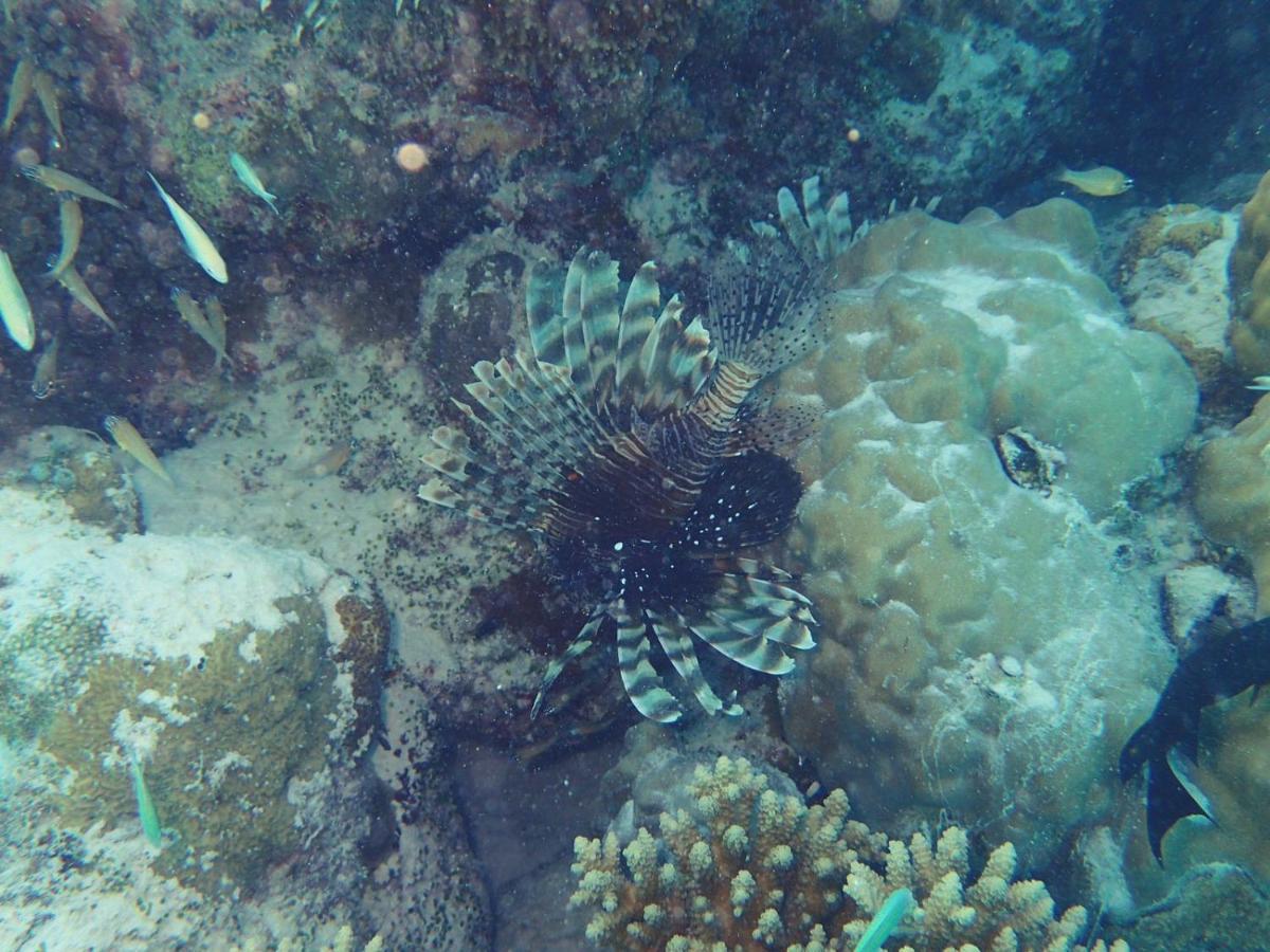 Ras Village Rasdhoo Esterno foto