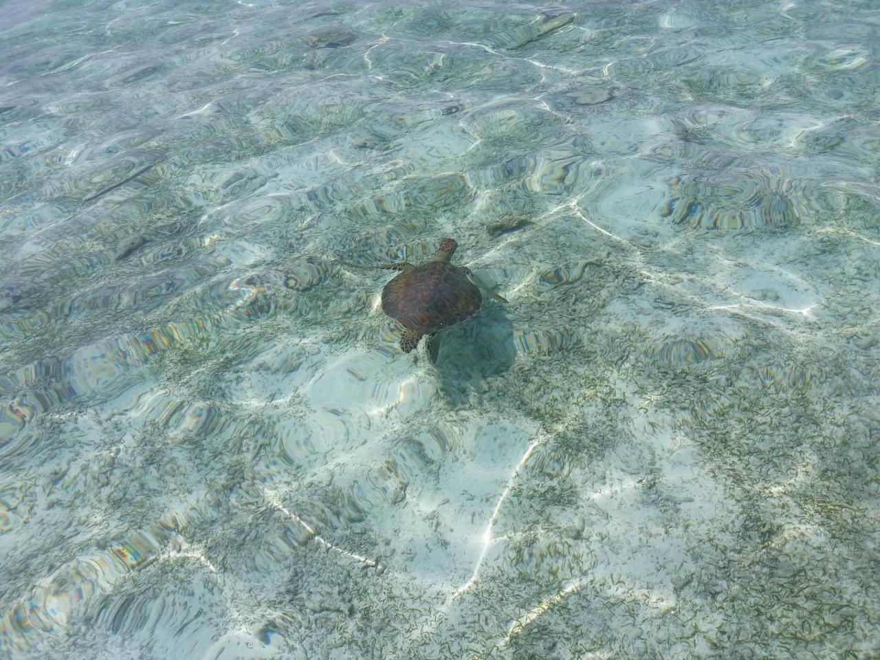 Ras Village Rasdhoo Esterno foto